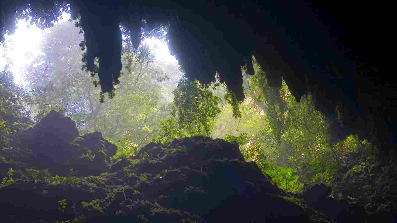 Explore the Wonders of Rio Camuy in Puerto Rico A Guide to Travel, Tours, and Adventure Explore the Wonders of Rio Camuy in Puerto Rico A Guide to Travel, Tours, and Adventure