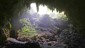 Camuy River Cave National Park Puerto Rico