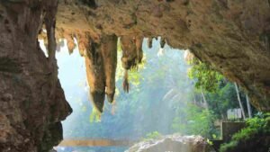 Exploring the Enchanting Pindul Cave A Unique Adventure