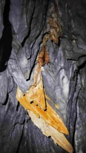 Puerto Princesa Tour